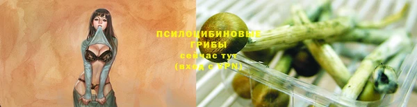 jwh Горняк