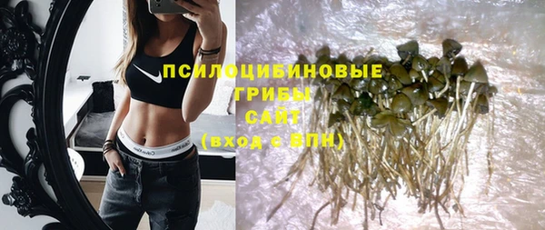 jwh Горняк