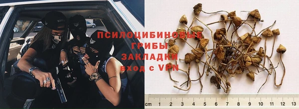 молекула духа Медвежьегорск